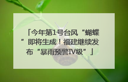 今年第1号台风“蝴蝶”即将生成！福建继续发布“暴雨预警Ⅳ级”