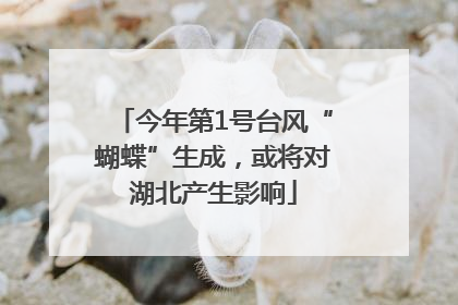 今年第1号台风“蝴蝶”生成，或将对湖北产生影响