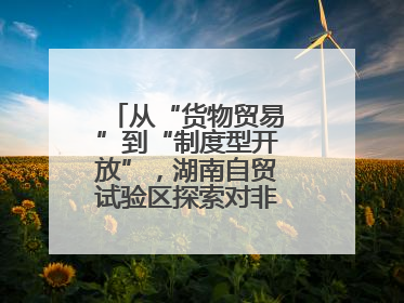 从“货物贸易”到“制度型开放”，湖南自贸试验区探索对非合作新模式