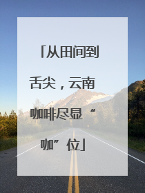 从田间到舌尖，云南咖啡尽显“咖”位