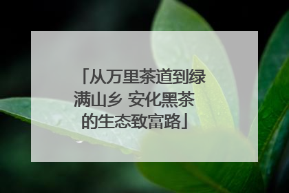 从万里茶道到绿满山乡 安化黑茶的生态致富路