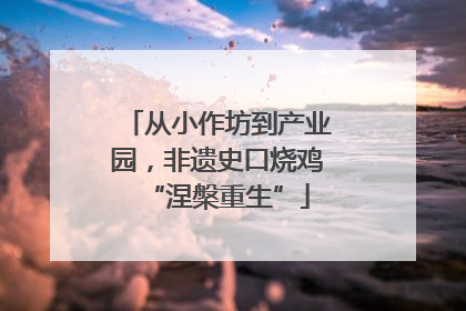 从小作坊到产业园，非遗史口烧鸡“涅槃重生”