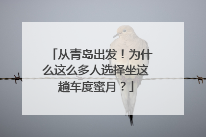 从青岛出发！为什么这么多人选择坐这趟车度蜜月？