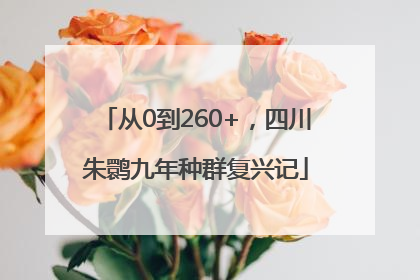 从0到260+，四川朱鹮九年种群复兴记