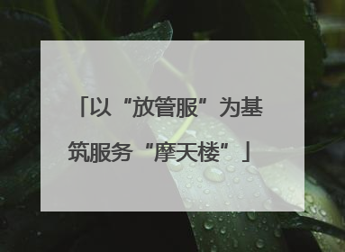 以“放管服”为基筑服务“摩天楼”