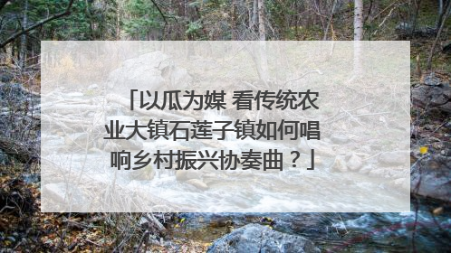 以瓜为媒 看传统农业大镇石莲子镇如何唱响乡村振兴协奏曲？