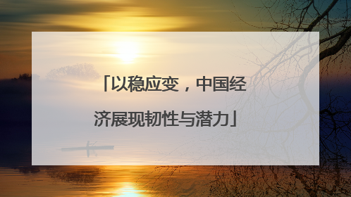 以稳应变，中国经济展现韧性与潜力