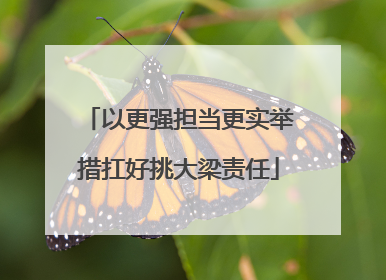 以更强担当更实举措扛好挑大梁责任