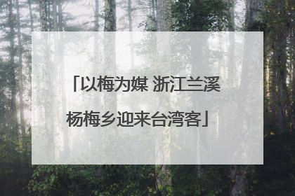 以梅为媒 浙江兰溪杨梅乡迎来台湾客