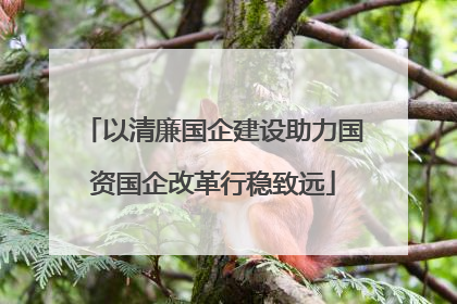 以清廉国企建设助力国资国企改革行稳致远