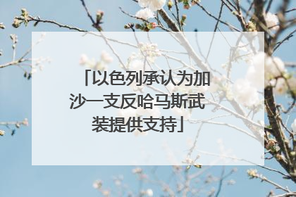 以色列承认为加沙一支反哈马斯武装提供支持
