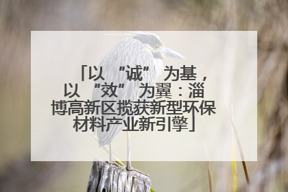 以 “诚” 为基，以 “效” 为翼：淄博高新区揽获新型环保材料产业新引擎