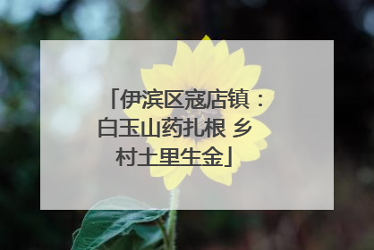 伊滨区寇店镇：白玉山药扎根 乡村土里生金