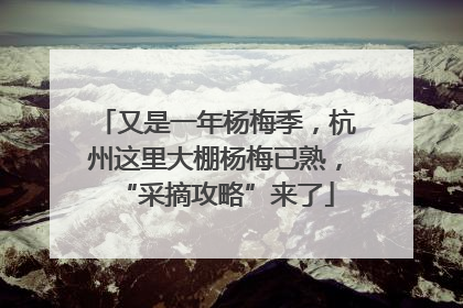 又是一年杨梅季，杭州这里大棚杨梅已熟，“采摘攻略”来了