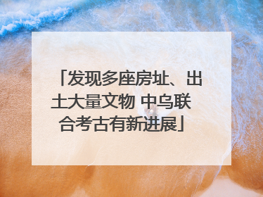 发现多座房址、出土大量文物 中乌联合考古有新进展