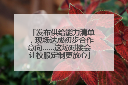 发布供给能力清单，现场达成初步合作意向……这场对接会让校服定制更放心