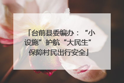 台前县委编办：“小设施”护航“大民生” 保障村民出行安全