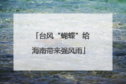 台风“蝴蝶”给海南带来强风雨