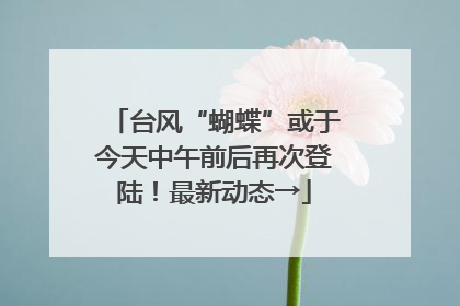 台风“蝴蝶”或于今天中午前后再次登陆！最新动态→