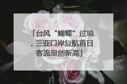 台风“蝴蝶”过境，三亚口岸复航首日客流量创新高