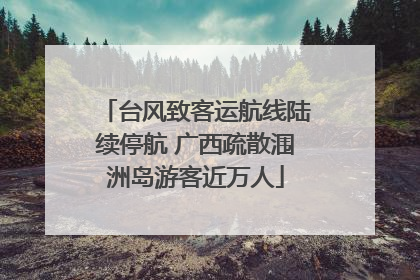 台风致客运航线陆续停航 广西疏散涠洲岛游客近万人