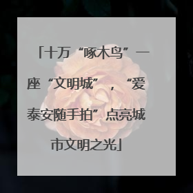 十万“啄木鸟”一座“文明城”，“爱泰安随手拍”点亮城市文明之光