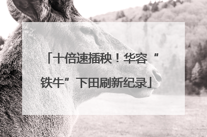 十倍速插秧！华容“铁牛”下田刷新纪录