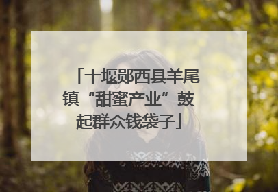 十堰郧西县羊尾镇“甜蜜产业”鼓起群众钱袋子