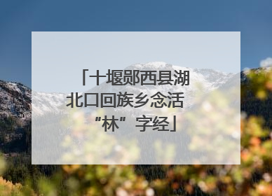 十堰郧西县湖北口回族乡念活“林”字经