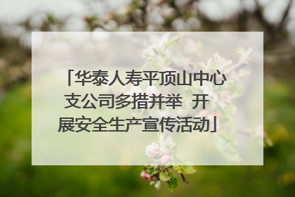华泰人寿平顶山中心支公司多措并举  开展安全生产宣传活动