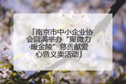 南京市中小企业协会圆满举办“聚微力·暖金陵”慈善献爱心暨义卖活动