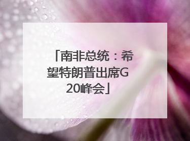 南非总统：希望特朗普出席G20峰会