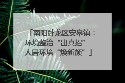 南阳卧龙区安皋镇：环境整治“出真招” 人居环境“焕新颜”