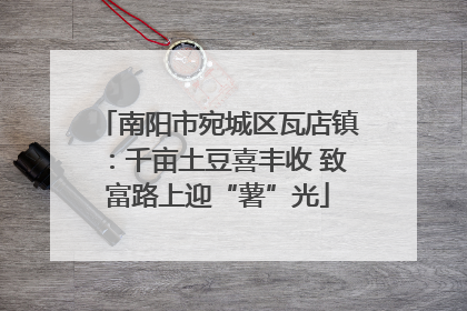 南阳市宛城区瓦店镇：千亩土豆喜丰收 致富路上迎“薯”光