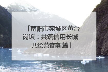 南阳市宛城区黄台岗镇：共筑信用长城 共绘营商新篇