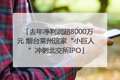 去年净利润超8000万元 烟台莱州这家“小巨人”冲刺北交所IPO