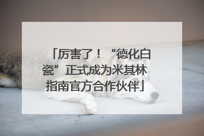 厉害了！“德化白瓷”正式成为米其林指南官方合作伙伴