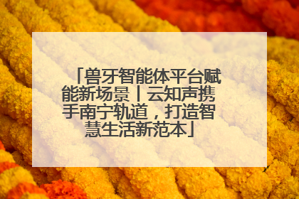兽牙智能体平台赋能新场景丨云知声携手南宁轨道，打造智慧生活新范本