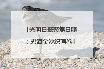 光明日报聚焦日照：碧海金沙织画卷