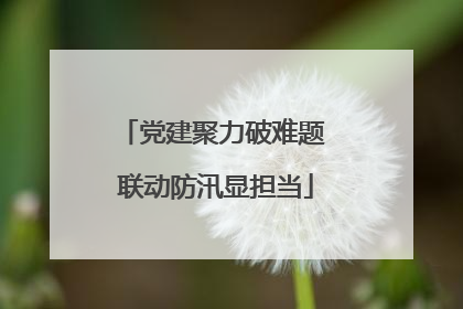 党建聚力破难题 联动防汛显担当