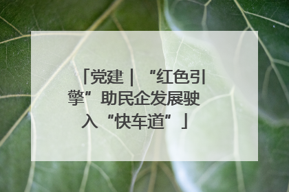 党建｜“红色引擎”助民企发展驶入“快车道”