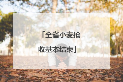 全省小麦抢收基本结束
