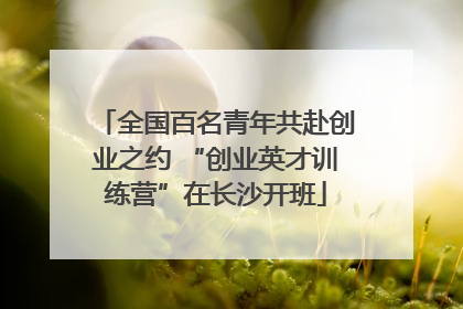 全国百名青年共赴创业之约 “创业英才训练营”在长沙开班