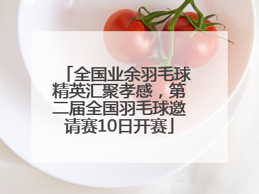全国业余羽毛球精英汇聚孝感，第二届全国羽毛球邀请赛10日开赛