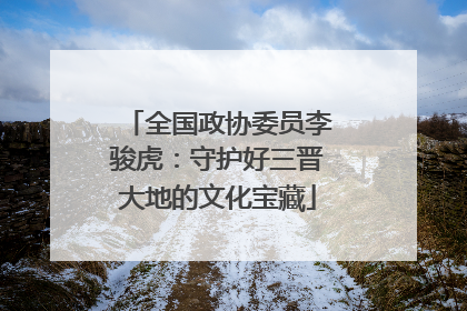 全国政协委员李骏虎：守护好三晋大地的文化宝藏