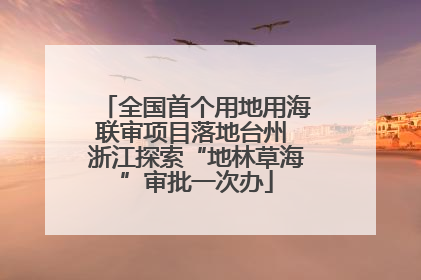 全国首个用地用海联审项目落地台州 浙江探索“地林草海”审批一次办