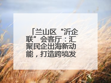 兰山区“沂企联”会客厅：汇聚民企出海新动能，打造跨境发展“强磁场”