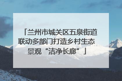 兰州市城关区五泉街道联动多部门打造乡村生态景观“洁净长廊”