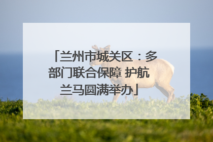兰州市城关区：多部门联合保障 护航兰马圆满举办
