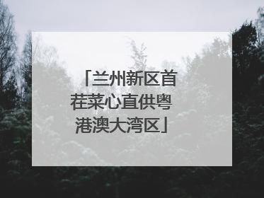 兰州新区首茬菜心直供粤港澳大湾区